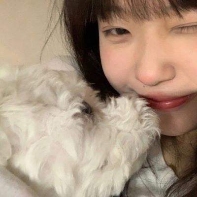 辐射避难所online虫虫助手版下载